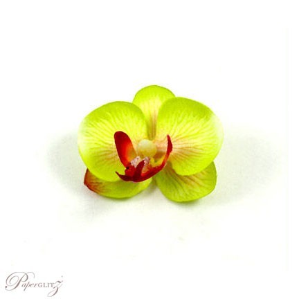 Phalaenopsis Silk Orchid Heads - Green / Pink - 24Pck