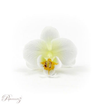 Phalaenopsis Silk Orchid Heads - White / Cream - 24Pck