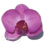 Phalaenopsis Silk Orchid Heads - Lavender - 24Pck