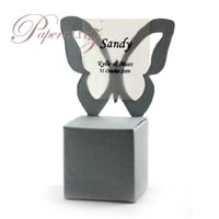 Chair Box - Butterfly - Curious Metallics Galvanised